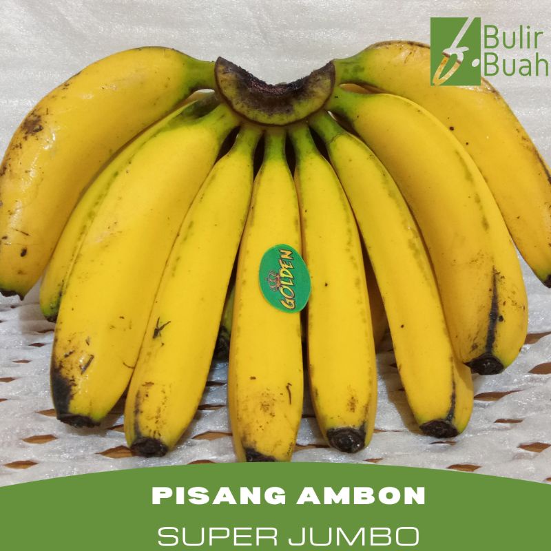 

Buah Pisang Ambon Super Sisir Jumbo/Sisir