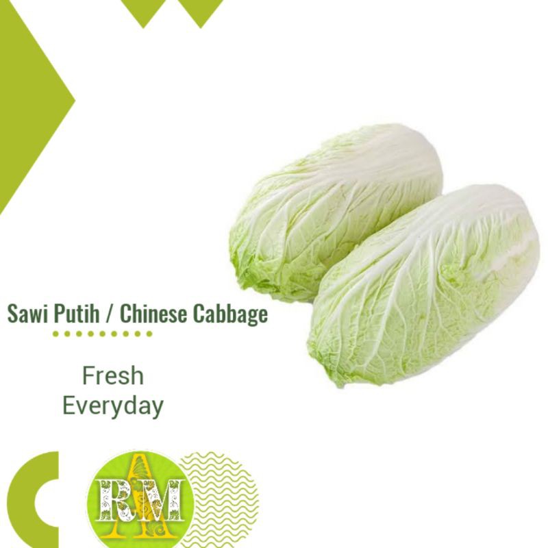 

Sawi Putih / Chinese Cabbage 500g