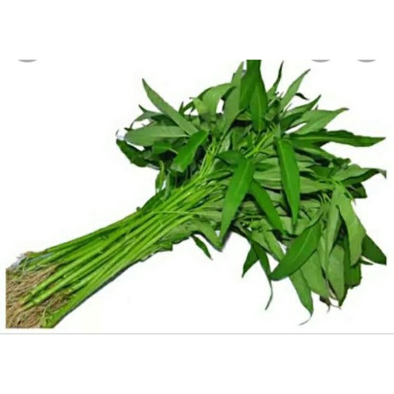 

sayur kangkung