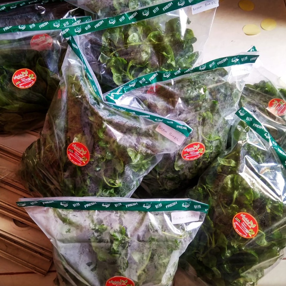 

Bayam Brazil Hidroponik Padang 200 g