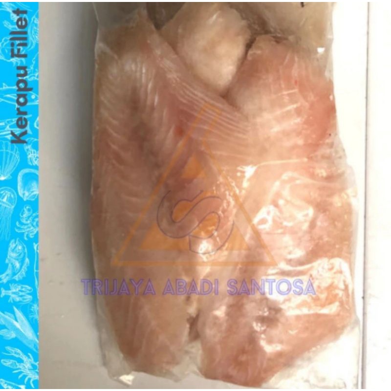 

Kerapu Fillet Frozen 1 Kg