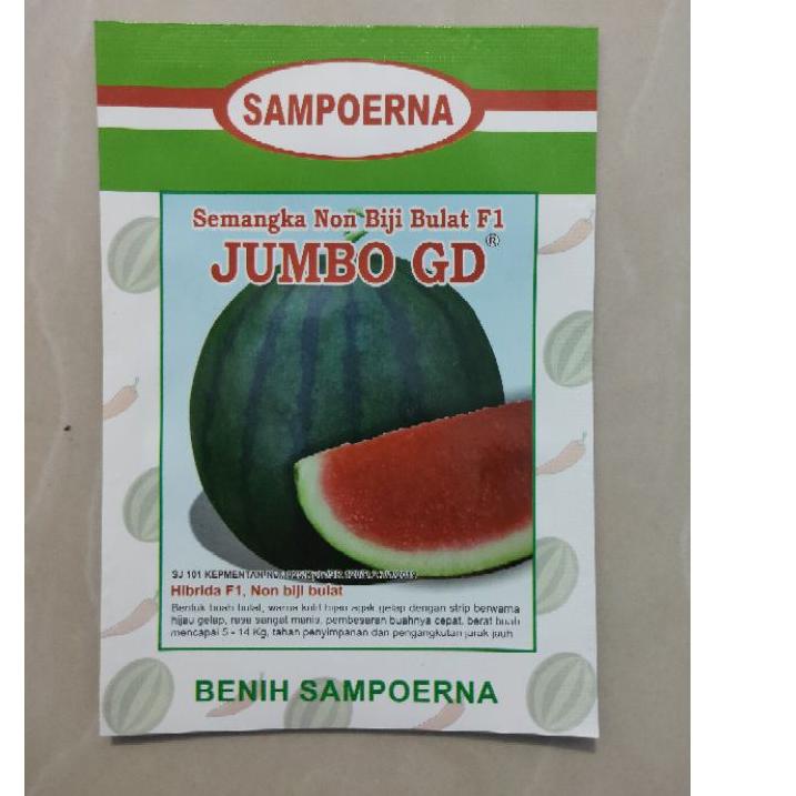 Big Sale.. benih semangka Non biji JUMBO GD