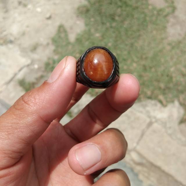 Batu fosil mani gajah madu+ring tintanium hitam.dim kantoran