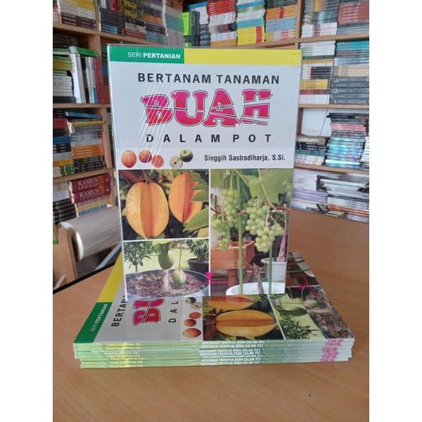 BERTANAM TANAMAN BUAH DALAM POT