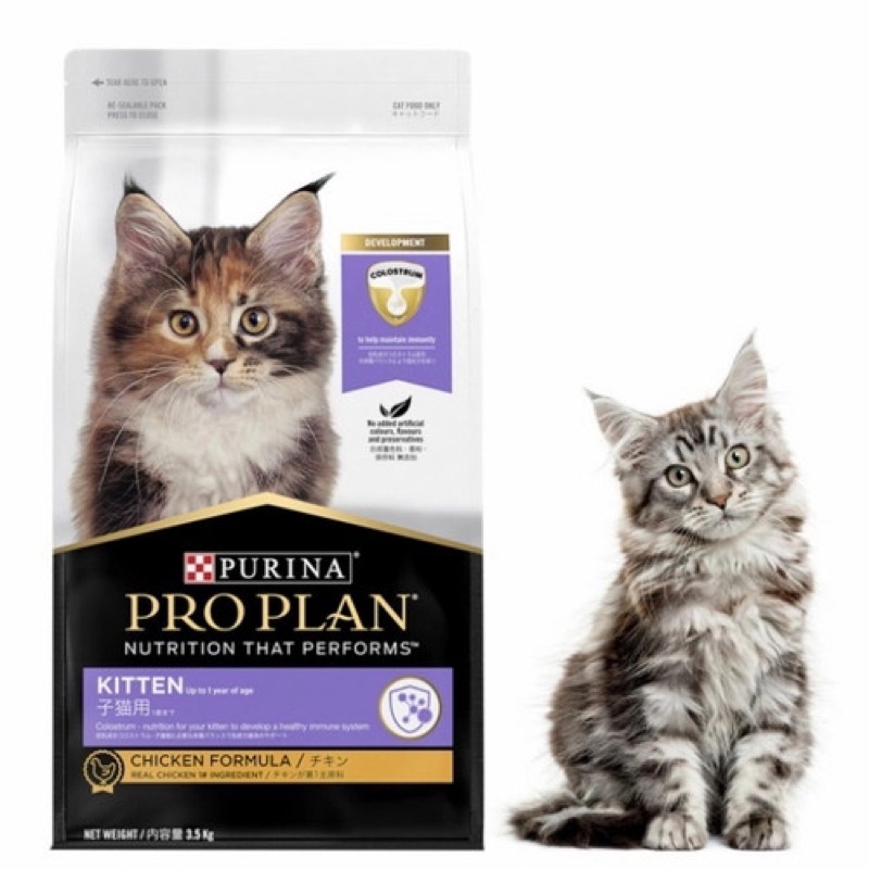 proplan kitten chicken 8kg