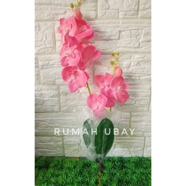 Anggrek bulan / BUNGA TANGKAI ANGGREK BULAN PING