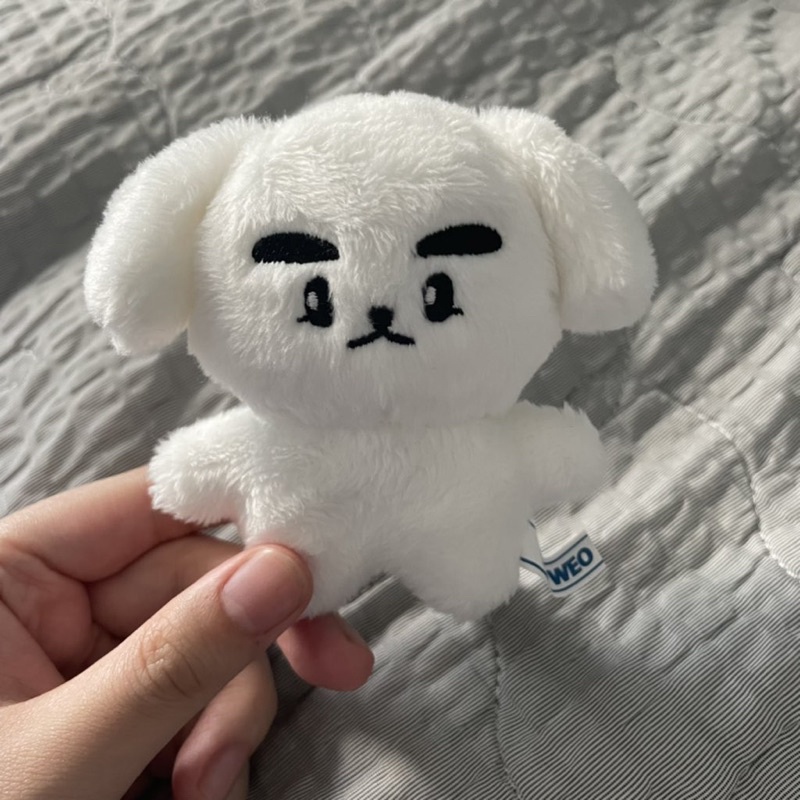 baca deskripsi WayV NCT Xiaojun Doll