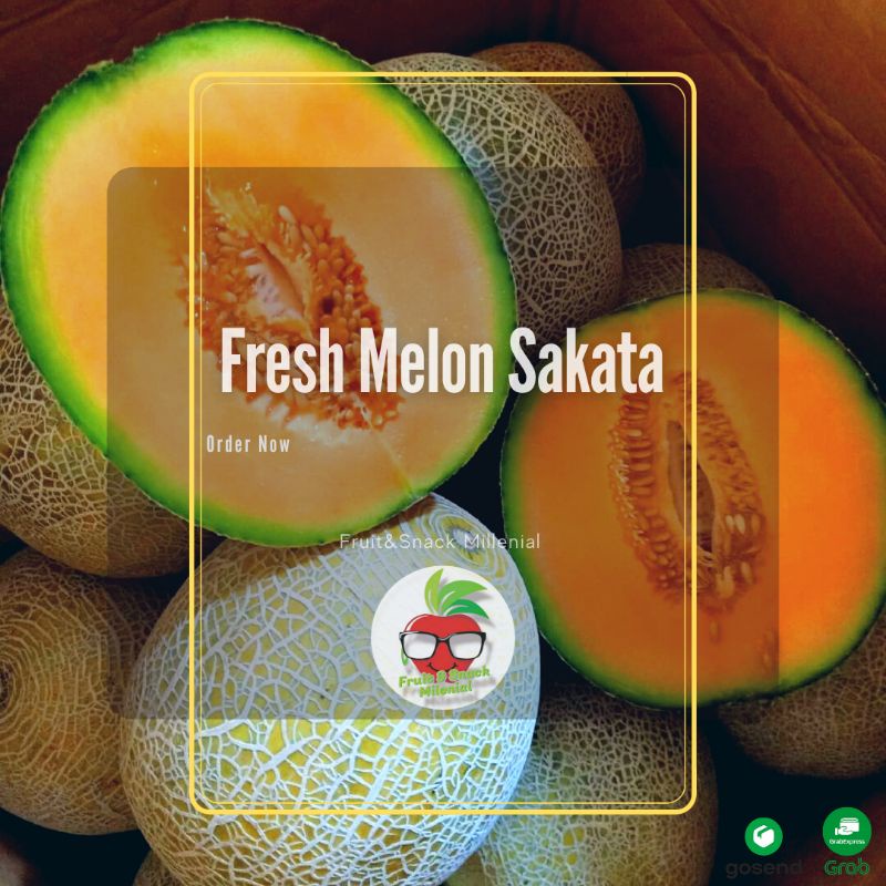 

Melon Rock Sakata Super 1 pcs Bobot (1,5-2kg)