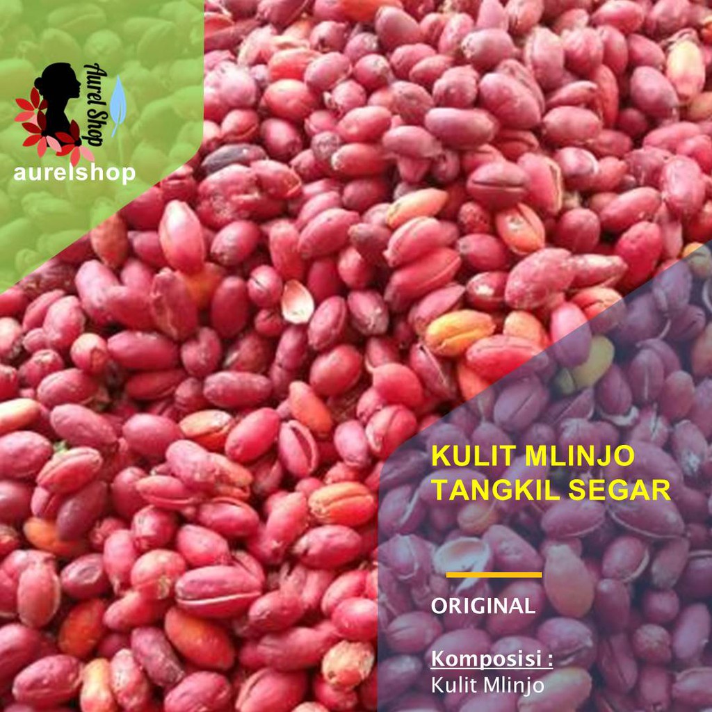 

Kulit Melinjo Segar 1 kg / Tangkil