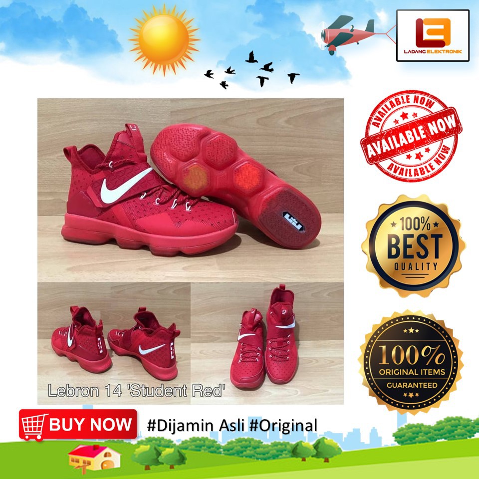 sepatu lebron 14