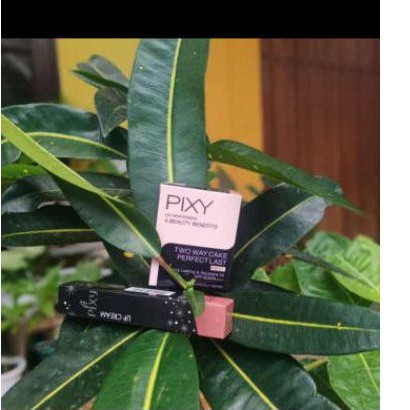 Paketan lipcream dan bedak pixy