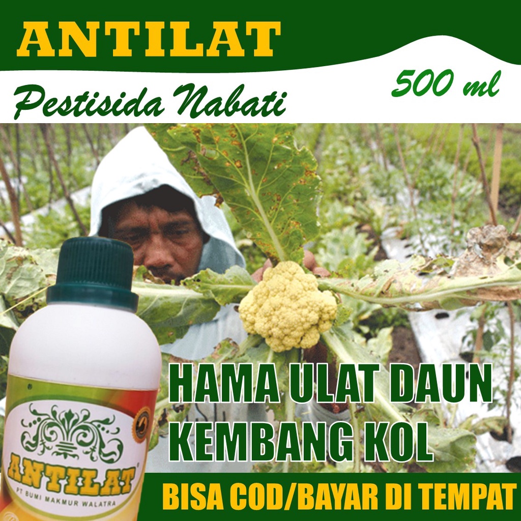 Jual Pestisida Obat Hama Ulat Kembang Kol Obat Semprot Hama Bunga Kol