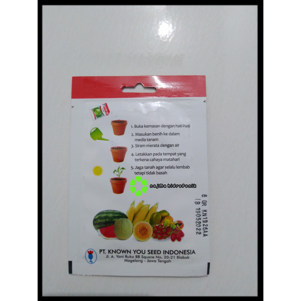 Benih/bibit Selada New Grand Rapid Pouch (Known You)