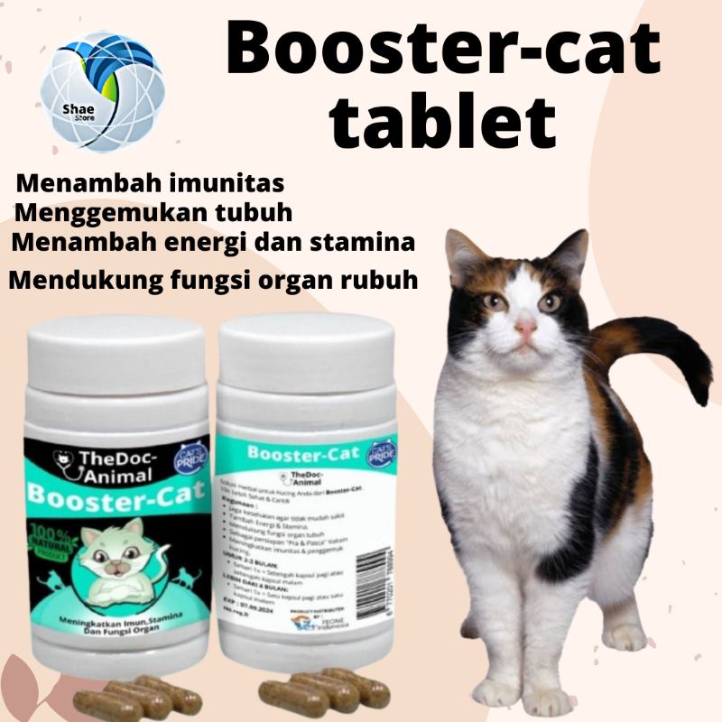 BOOSTER CAT PENAMBAH ENERGI STAMINA MENJAGA IMUN DAN MENDUKUNG FUNGSI ORGAN TUBUH ECER RERMURAH