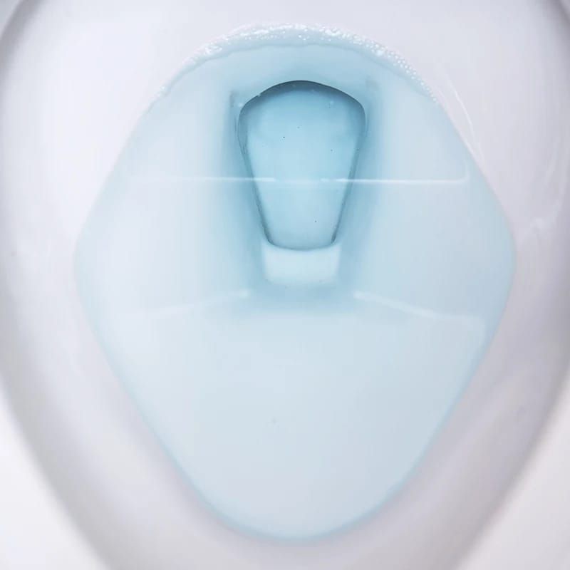 hokkiterus21 TOILET BOWL TABLET pembersih kerak paling ampuh penyegar pewangi toilet wc kamar mandi toilet tabs isi 12pc T010