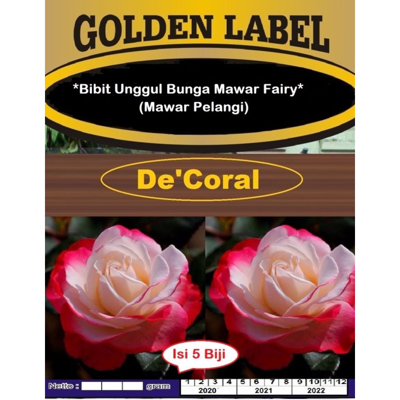 Bibit Unggul Bunga Mawar Fairy |Benih Bunga Mawar Pelangi