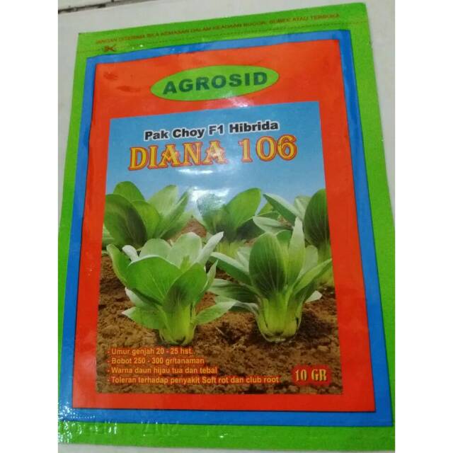 Benih sawi daging DIANA