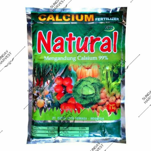 Pupuk Natural Kalsium 99 Netto 1 Kg Perangsang Tanaman Kalsium Tanaman Penyakit Layu Shopee Indonesia