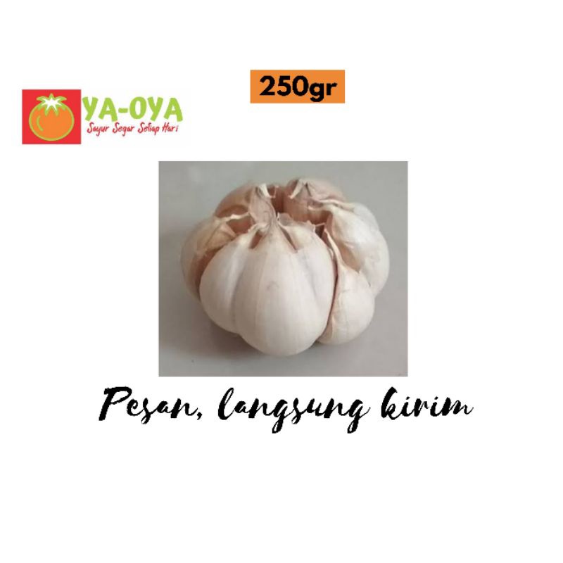 

BAWANG PUTIH BONGGOL 250gr-SAYUR SEGAR-INSTAN DELIVERY