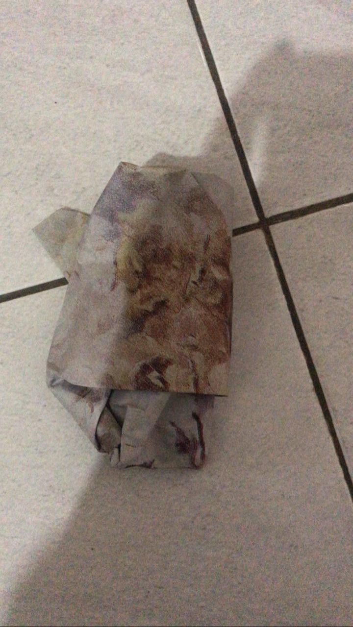 Kaktus Belimbing Parodia Owroot