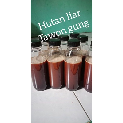 

Madu hutan liar tawon gung