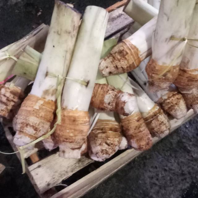 

Talas bogor Asli / Buah Talas Bogor 1 ikat isi 5