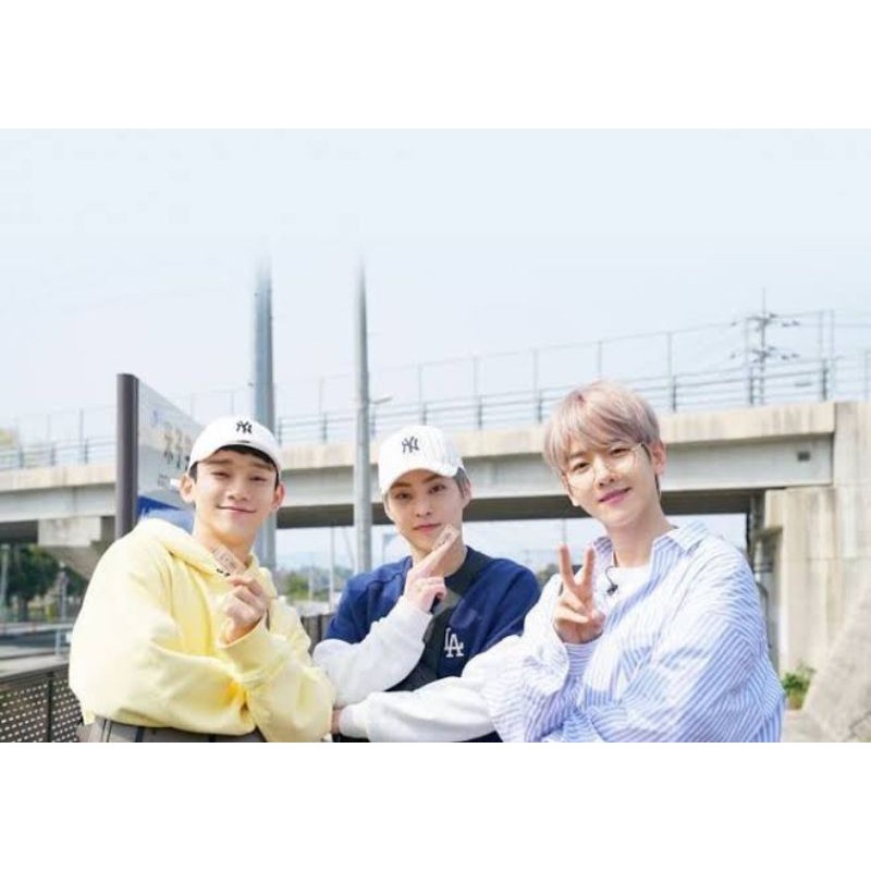 Kines EXO LADDER CBX S1