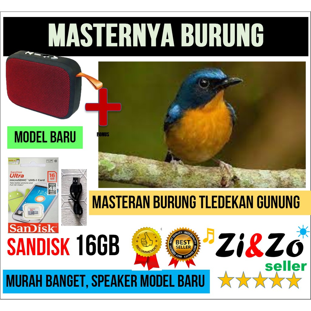 Masteran Burung Tledekan Gunung Gacor Termurah