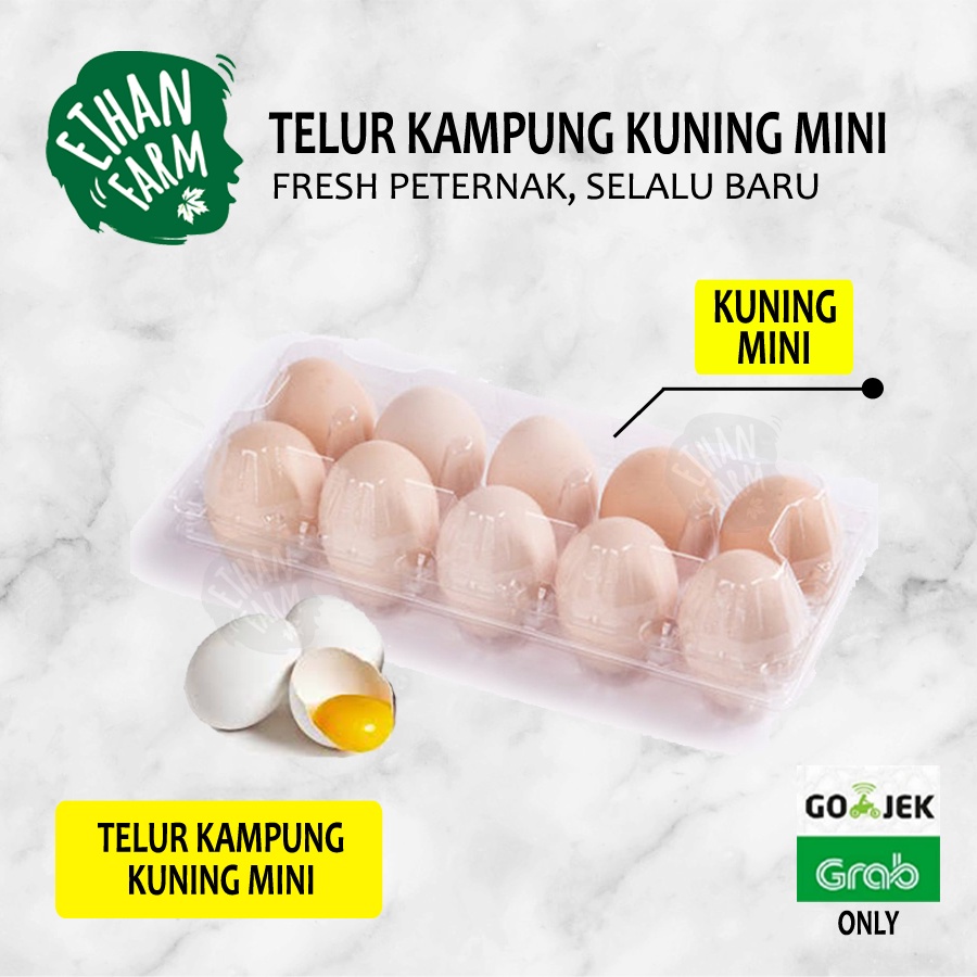 

(Per10butir) Telur Kampung Kuning Mini Asli Fresh