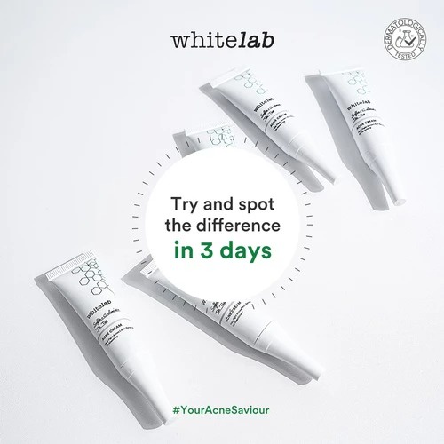 Acne Cream Whitelab Acne Cream 10ml Salep Jerawat