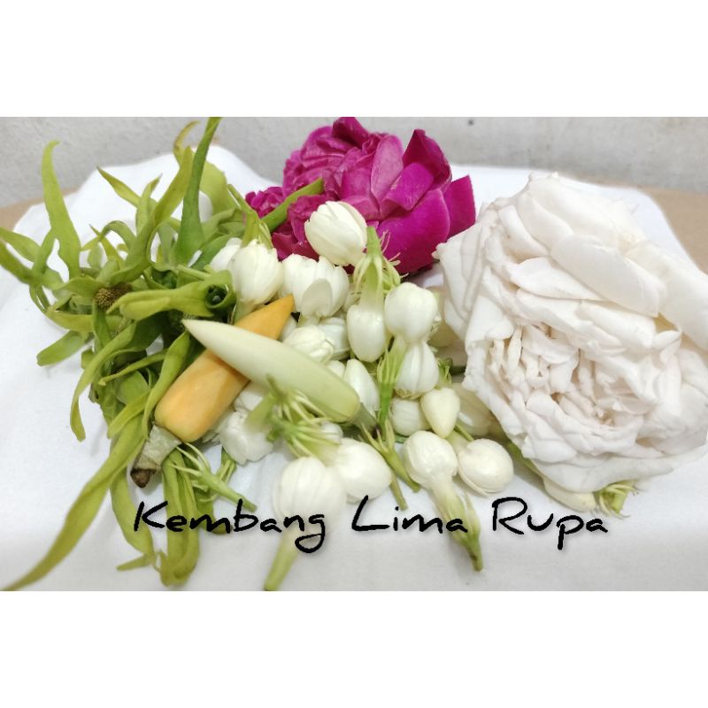 bunga setaman kembang liman mawar melati kenanga kantil asli dan segar