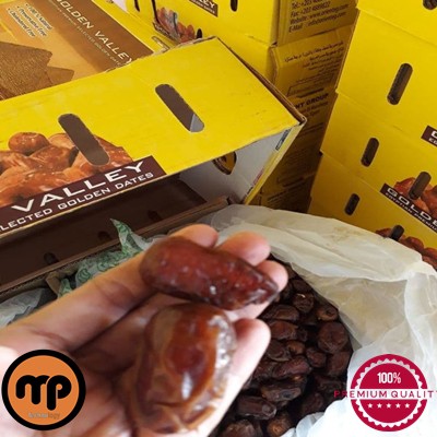 

Terlaris Kurma Golden Valley Jumbo Mesir Madu 10kg / Oleh Oleh Haji dan Umroh / Jajanan Lebaran