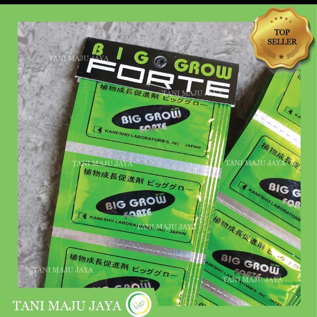 ZPT Big Grow Forte 20WP sachet pupuk