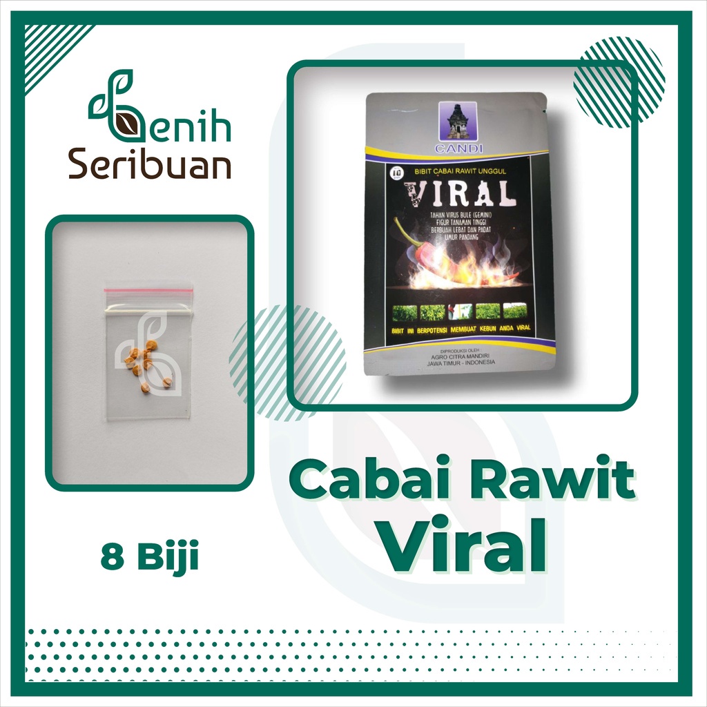 BS-BYL Bibit Sayuran Benih Sayur Buah Hibrida Unggul Buncis Cabe Rawit Bawang Jagung Kacang Lobak Pare Oyong Timun Terong Tomat Wortel dll-CABE RAWIT VIRAL