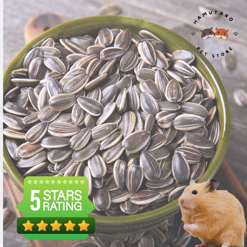 Biji Kuaci / Biji koaci cemilan hamster 1000gr 1kg