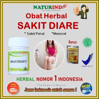 Jual Naturindo Mucosafit Obat Herbal Diare Bab Berlebih Mencret Akut Sakit Perut Masuk Angin Anak Dewasa Herbal Alami 40kapsul Indonesia Shopee Indonesia