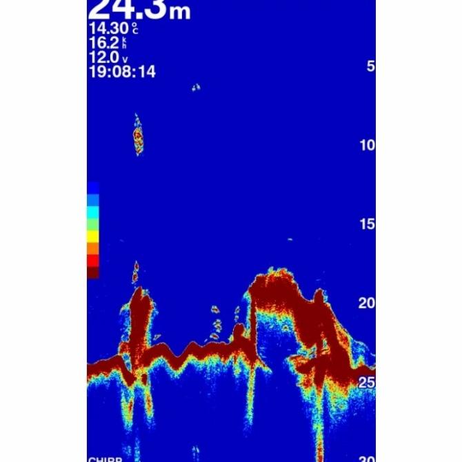 Jual Transducer Gt15MTh Garmin Gt15 585 Plus 8Pin Sonar Chirp Shopee Indonesia