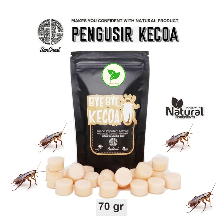 Pengusir Kecoa, Bye Bye Kecoa Gel 70 gram