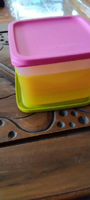 Small Summer Fresh Ecer