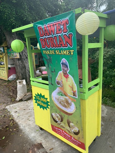 Folding Hanger 30 Sticks Lion Star