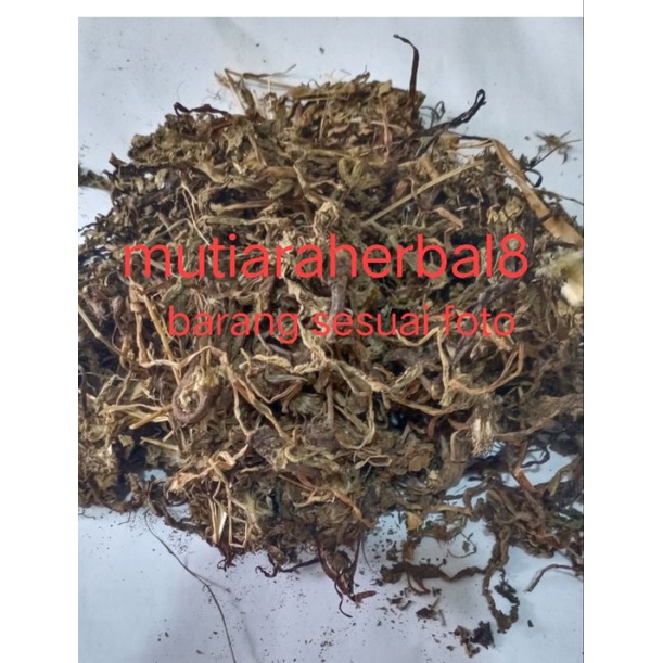

Pu Gong Ying 50gr - Teh Dandelion Herbal Tea