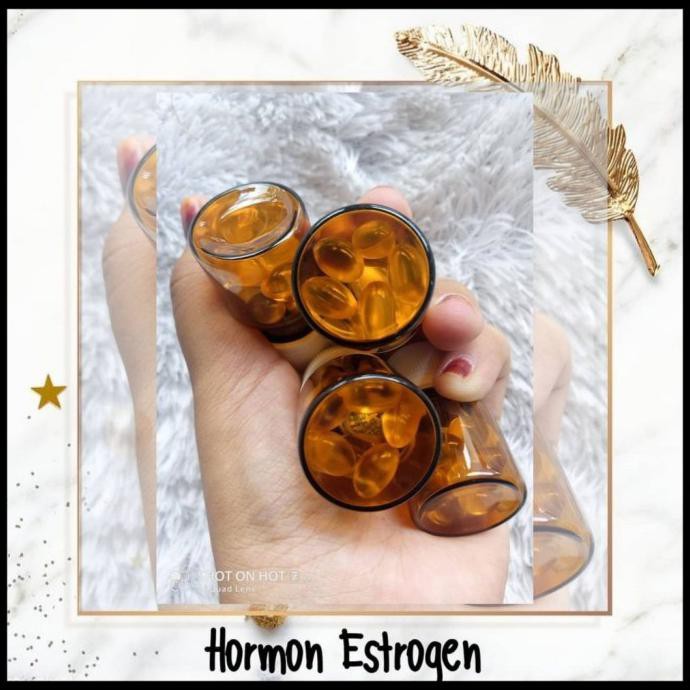 Hormon Estrogen Pembesar payudara wanita