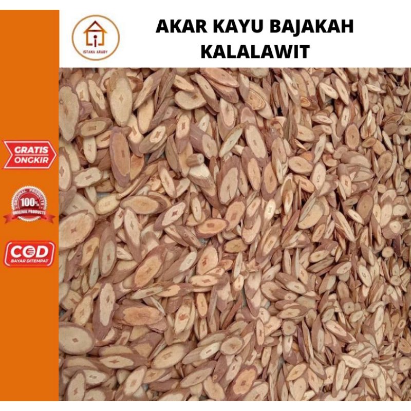 

AKAR KAYU BAJAKAH KALALAWIT ASLI KALIMANTAN 100GR/AKAR BAJAKAH/KAYU BAJAKAH ASLI/OBAT KANKER/TERLARIS