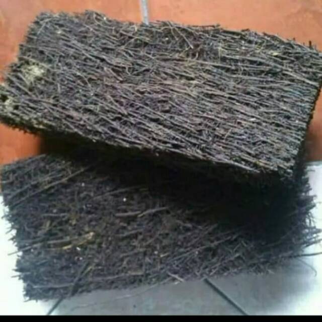 Media tanam anggrek pakis batang - batang pakis