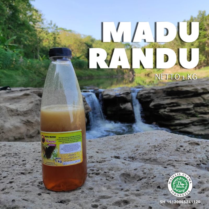 

Madu Murni Randu 1 Kg Original