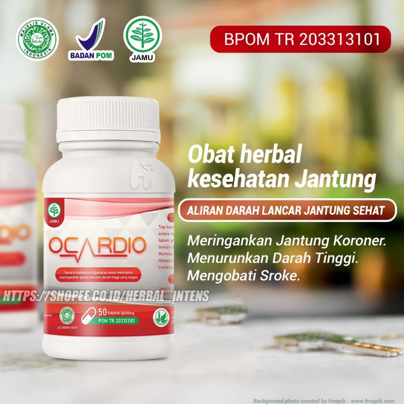 

Ocardio original obat herbal cardionormin atasi jantung koroner stroke hipertensi darah tinggi