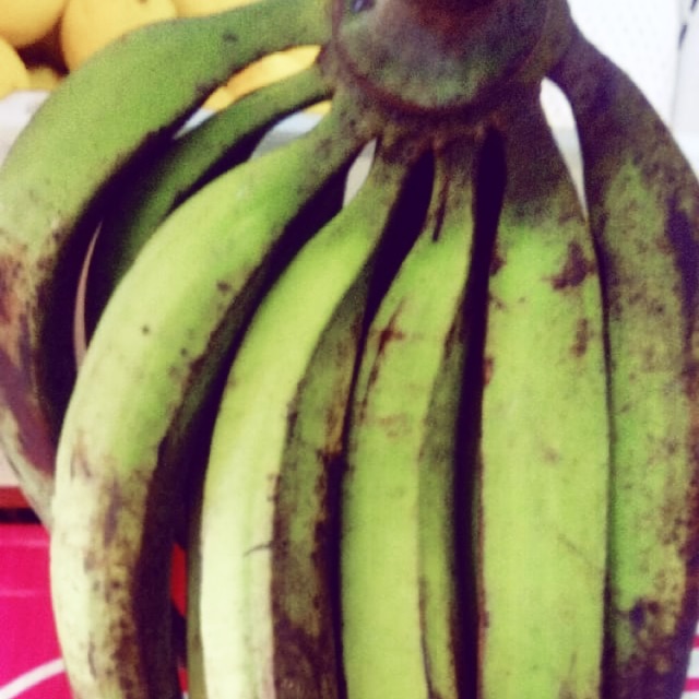 

Pisang tanduk