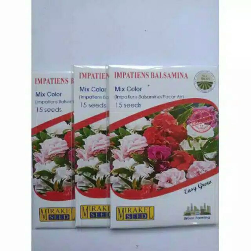 Benih IMPATIENS BALSAMINA/PACAR AIR mix color