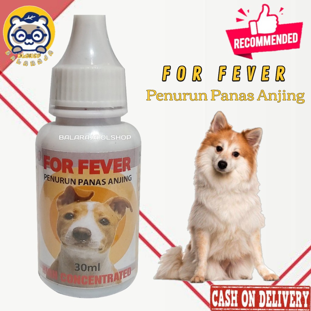 OBAT DEMAM ANJING PENURUN PANAS ANJING PUPPY - FOR FEVER