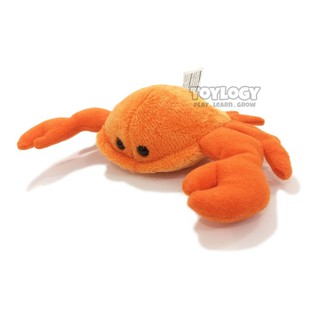 105 Gambar Hewan Udang HD